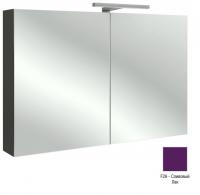 Зеркальный шкаф Jacob Delafon 1050х650х143 мм EB787RU-F26 сливовый глянцевый