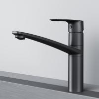 Смеситель для кухни AM.PM Gem F90A00022 чёрный