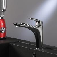 Смеситель для кухни AM.PM Bliss L F5300032 хром