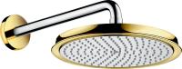 Верхний душ Hansgrohe Raindance Classic 1jet с держателем 27424090 хром/золото